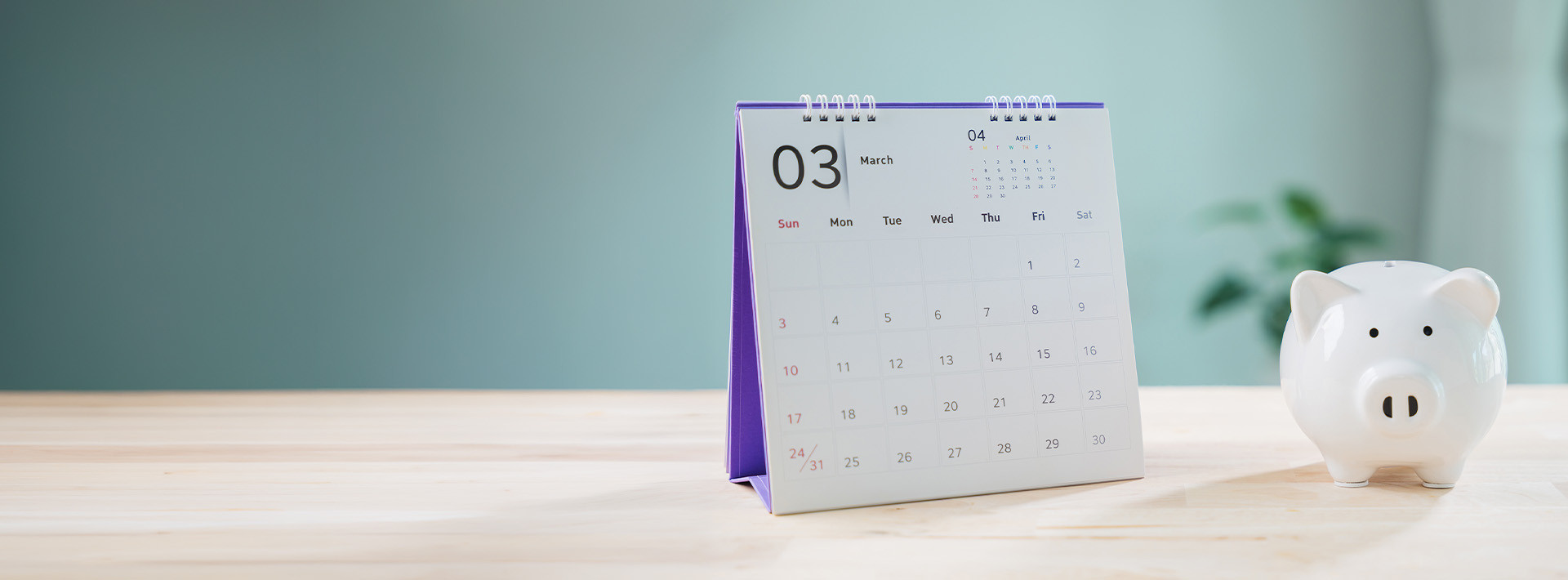 Kalendarz i skarbonka w kształcie świnki