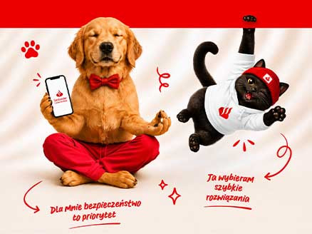 na zdjęciu widzimy psa przypominającego golden retrivera siedzącego w pozycji zen i trzymającego telefon, pod nim jest napis "dla mnie bezpieczeństwo to priorytet". obok jest zawadiacki kot, zwisający z poprzeczki, a pod nim napis "ja wybieram szybkie rozwiązania"